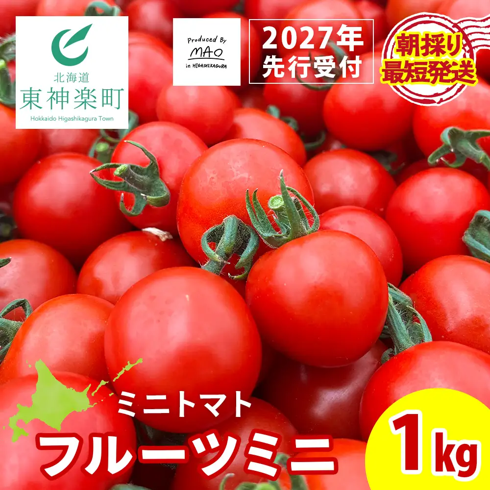 【2027年先行予約】 【朝採れ最短発送！】フルーツミニ ミニトマト1kg