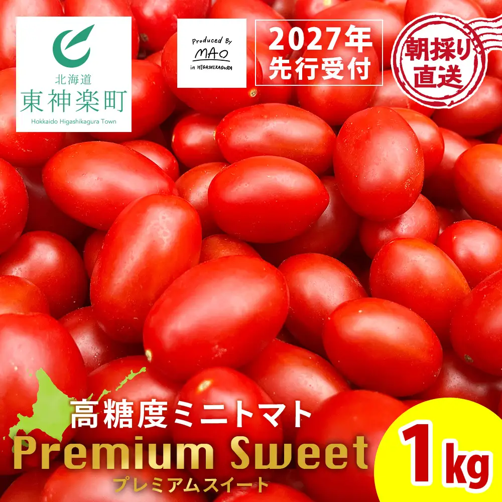 【2027年先行予約】 【朝採れ最短発送！】 Premium Sweet 1kg フルーツミニトマト