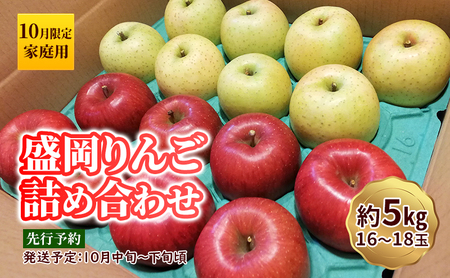 りんご 訳あり5kg16～18個10月限定 りんご