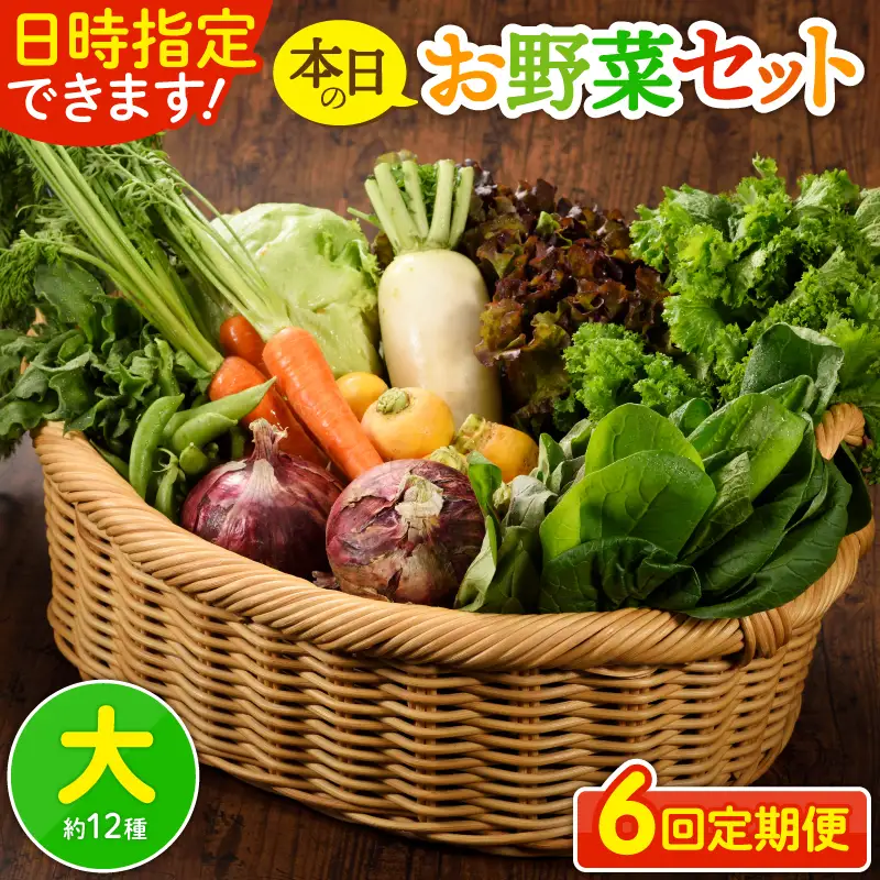 【６回定期便】日時指定OK！本日のお野菜セット （大サイズ/約15～17種） 4人以上用 / 野菜 朝どれ 有機栽培 産地直送 新鮮 旬 詰め合わせ サラダ 果物 きのこ類 やさい 送料無料 定期便 6カ月【オーガニックのまち 宮崎県綾町】_A0053-011