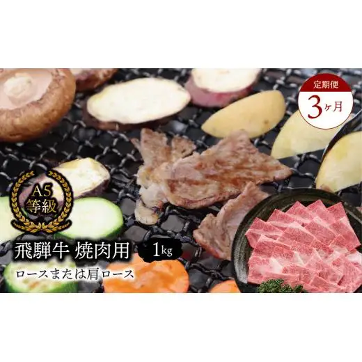 【３ヶ月定期便】 Ａ5等級 飛騨牛 焼肉用 1kg ロースまたは肩ロース
