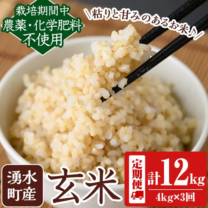 《定期便・全3回》《栽培期間中農薬化学肥料不使用》鹿児島県産 ヒノヒカリ 玄米計12kg（2kg×2袋×3回） 国産 九州産 鹿児島県産 湧水町産 ひのひかり お米 米 こめ コメ 玄米 ご飯 ごはん 化学肥料不使用 農薬不使用 有機 有機農業 有機肥料 定期便 【雲月農園】_y472