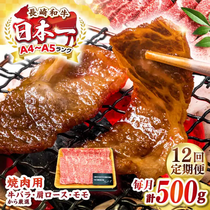 【全12回定期便】【A4～A5ランク】長崎和牛焼肉用　500g《壱岐市》【株式会社MEAT PLUS】肉 牛肉 黒毛和牛 焼き肉 焼肉 焼肉用 ギフト 贈答用 ご褒美 冷凍配送 A4 A5 [JGH110]