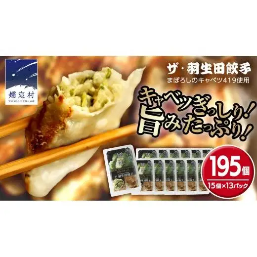まぼろしのキャベツ419使用 ザ・羽生田餃子 15個 × 13パック 合計195個 [AL003tu]