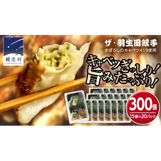 まぼろしのキャベツ419使用 ザ・羽生田餃子 15個 × 20パック 合計300個 [AL004tu]