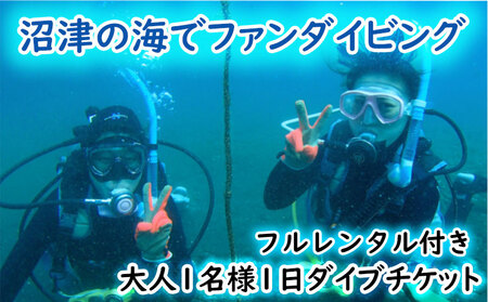 ファンダイビングチケット 大人1名 1日2ビーチ フルレンタル込み 伊豆半島 ダイビング
