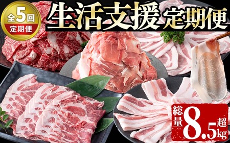 【定期便全5回】生活支援定期便(5ヶ月連続・総量8.5kg以上)国産牛 九州産 豚 豚肉 肉 牛肉 黒毛和牛 切り落し 国産 しゃぶしゃぶ 豚バラ 切り落し 大容量 人気 小分け 真空包装 t0063-002