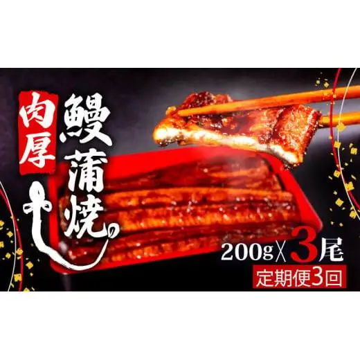 【3回定期便】うなぎ蒲焼き200g 3尾【 うなぎ 定期便 国産 うなぎ 定期便 かばやき うなぎ 定期便 】