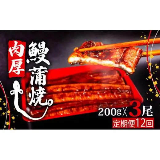 【12回定期便】うなぎ蒲焼き200g 3尾【 うなぎ 定期便 国産 うなぎ 定期便 かばやき うなぎ 定期便 】