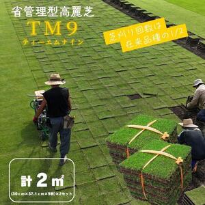 芝生(省管理型コウライ芝　TM9ティーエムナイン)２束セット※2平米分