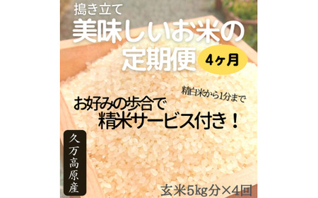 【定期便】高原の町 久万高原町産のお米＜玄米5kg分×4回＞ ※精米歩合のご指定がない場合は標準(10分つき：一般的な白米の状態）でお届けします ※2021年9月下旬より順次発送予定 ※着日指定不可