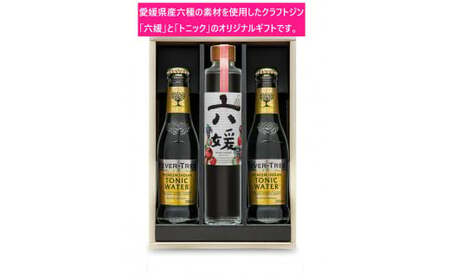 水口酒造 道後ジン「六媛」・トニックセット（G6-200）