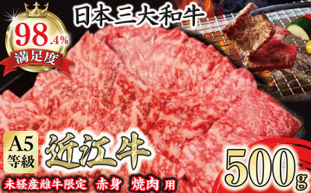 【一週間以内発送】近江牛 赤身 焼肉 500g 折箱入り 【FO40W】【 近江牛 】 牛肉焼肉 A5 ギフト