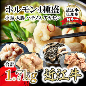 【一週間以内発送】近江牛 ホルモン 4種盛 ( 小腸 大腸 ハチノス アカセン) 1.7kg 【FO43W】 ホルモン 近江牛