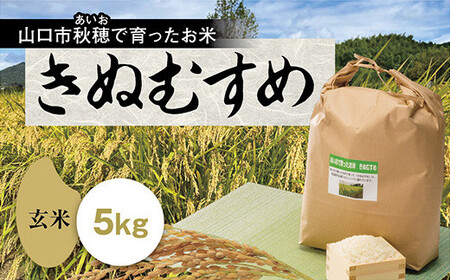 D415 あいお（秋穂）で育ったお米 きぬむすめ 玄米 5kg
