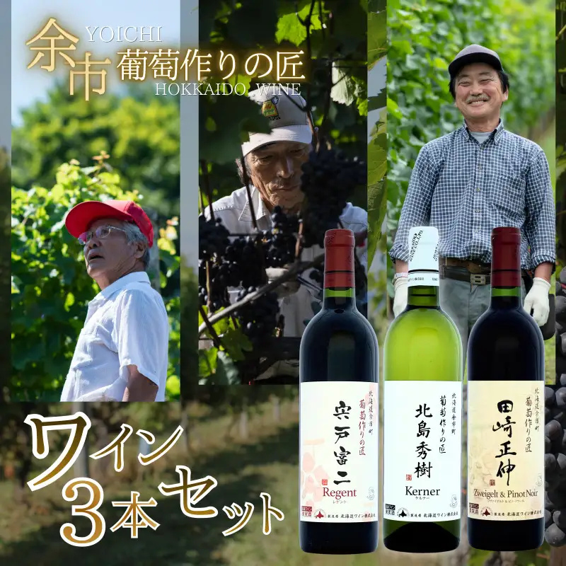 余市「葡萄作りの匠」ワイン 3本 セット 赤ワイン 白ワイン 辛口 ミディアム 田崎正伸 北島秀樹  宍戸富二  アルコール ギフト プレゼント 誕生日 手土産 父の日 敬老の日 家飲み 家族 国産お取り寄せ 北海道 余市町_Y034-0090