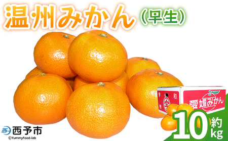 ＜温州みかん（早生）約10kg＞ 果物 フルーツ みかん ミカン 蜜柑 オレンジ 柑橘 うんしゅうみかん ウンシュウミカン わせ ワセ 食べて応援 特産品 JA えひめ南農業協同組合 愛媛県 西予市【常温】『2025年10月下旬から11月下旬迄に順次出荷予定』OEM0005
