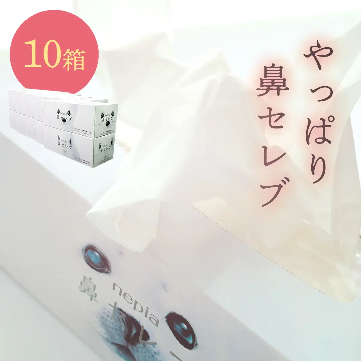ネピア 鼻セレブボックスティッシュ （10箱） | 高知県いの町