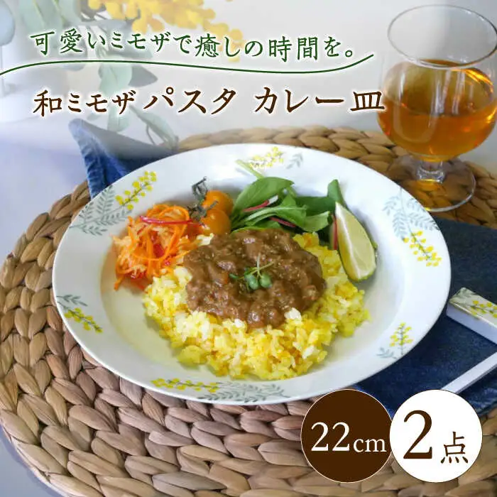 【波佐見焼】和ミモザ 22cm パスタ・カレー皿 2枚セット【和山】[WB152]
