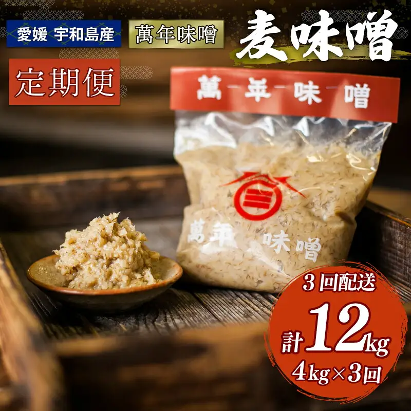 定期便 味噌 麦みそ 500g × 8袋 4kg 計3回 伊予醸造 定期便 J029-107002