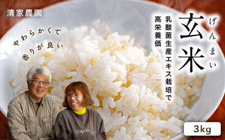 【令和7年産】酵素が3.9倍！「乳酸菌生産エキス栽培」玄米 3kg【特別栽培・農薬不使用】