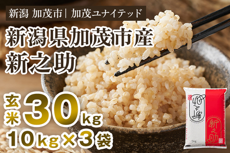 【令和8年産新米先行予約】新潟県産 新之助 玄米30kg（10kg×3袋）《10月上旬から順次出荷》 加茂ユナイテッド