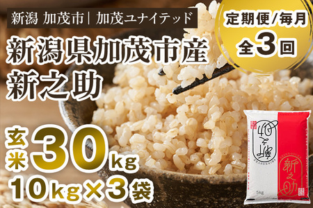 【令和8年産新米先行予約】【3ヶ月定期便】新潟県産 新之助 玄米30kg（10kg×3袋）《10月上旬から順次出荷》 加茂ユナイテッド