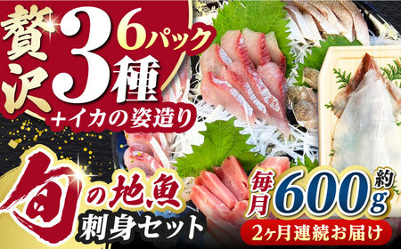 【全2回定期便】対馬 イカ 姿造り と 刺身 の セット 新鮮 海鮮 いか 冷凍 刺身 ケンサキイカ 島魚 海鮮丼 手巻き寿司 [WAK025]