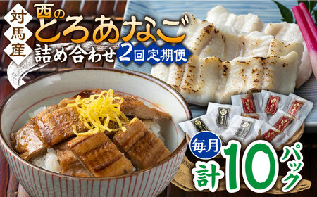 【全2回定期便】対馬産 穴子 詰め合わせ 10PAC対馬 新鮮 とろ あなご ふわふわ 煮穴子 冷凍 海鮮 [WAV017]
