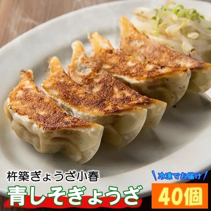 餃子 40個 冷凍 青しそぎょうざ 大分 杵築 ＜152-002＞