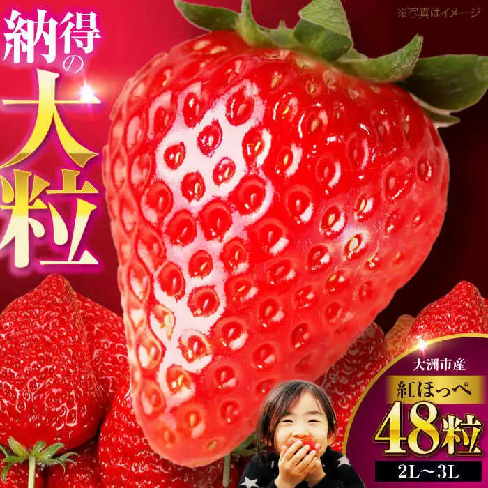 いちご 2パック（紅ほっぺ）いちご[AGAR002]