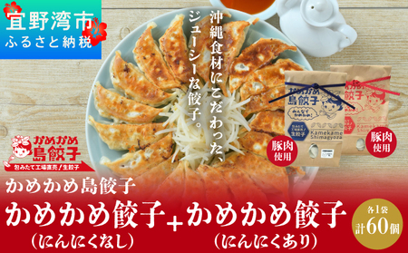 かめかめ島餃子 (豚肉/にんにくあり・なし) 30個 × 2袋 | 包みたて 工場直売 餃子 シママース | 簡単調理 手軽 | 豚肉 出汁 沖縄 お取り寄せ グルメ 冷凍