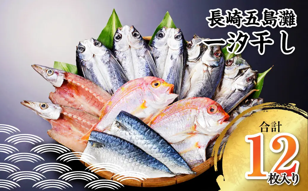 【7営業日以内発送】長崎五島灘一汐干し 合計12枚 干物 ひもの 魚介 海鮮 魚 おつまみ おかず 肴