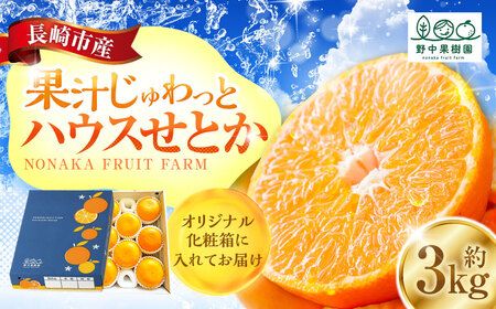 ハウスせとか 3kg 8～15玉 化粧箱セット  【2027年2月下旬～3月上旬発送予定】 ／ フルーツ 果物 くだもの ミカン みかん 野中果樹園 オンライン決済限定 アフター保証 長崎県 長崎市