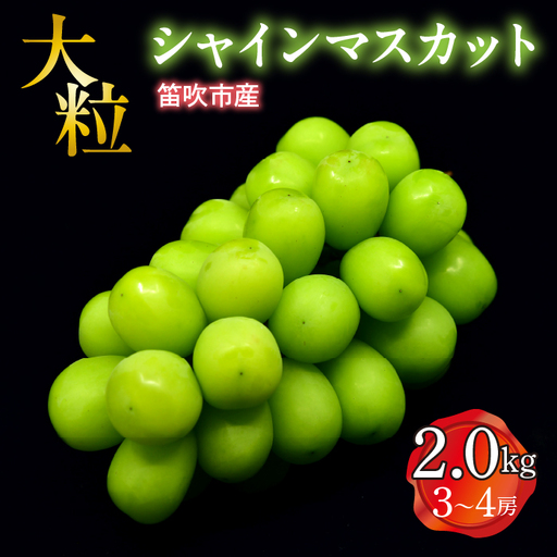 【2026年発送★先行予約】笛吹市産　大粒ｼｬｲﾝﾏｽｶｯﾄ　2.0㎏(3～4房) 227-004-26y