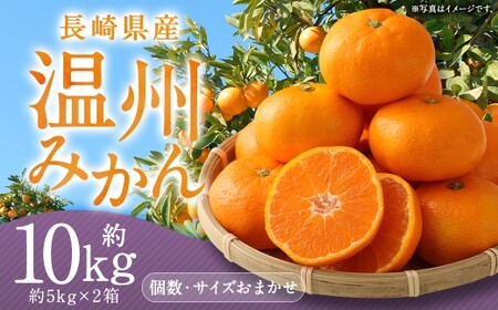 長崎県産 温州みかん 約10kg ( 5kg × 2箱 ) 個数・サイズ おまかせ ／ フルーツ 果物 くだもの 果実 ミカン 蜜柑 柑橘 長崎県 長崎市 川口農園 アフター保証  【2026年11月下旬-2027年1月下旬発送予定】