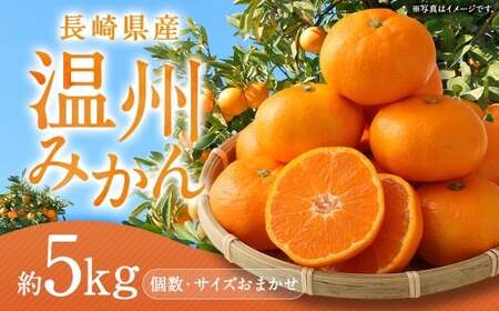 長崎県産 温州みかん 5kg (個数・サイズ おまかせ) ／ フルーツ 果物 くだもの 果実 ミカン 蜜柑 柑橘 長崎県 長崎市 川口農園 アフター保証  【2026年11月下旬-2027年1月下旬発送予定】