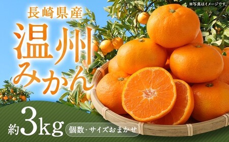 長崎県産 温州みかん 3kg 個数・サイズ おまかせ ／ フルーツ 果物 くだもの 果実 ミカン 蜜柑 柑橘 長崎県 長崎市 川口農園 アフター保証  【2026年11月下旬-2027年1月下旬発送予定】