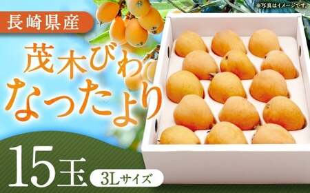 先行予約 茂木 びわ 『なつたより』 3Lサイズ 15玉 入り  【2027年5月下旬-6月上旬発送予定】 ／ 果物 くだもの フルーツ 枇杷 ビワ 長崎県 長崎市 川口農園 アフター保証