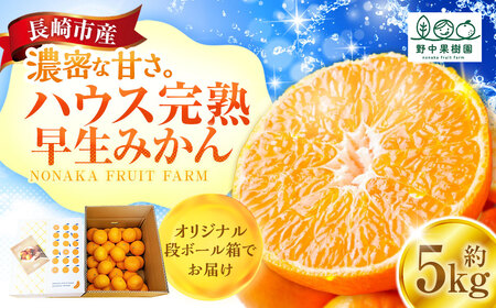先行予約 ハウス完熟早生みかん 約5キロ箱 ／ フルーツ 果物 くだもの 柑橘 蜜柑 ミカン 野中果樹園 長崎県 長崎市 オンライン決済限定 アフター保証【2027年1月発送予定】