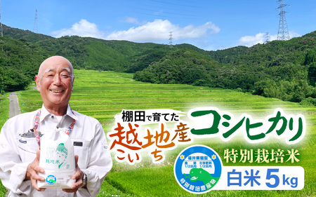 【令和6年 新米】越地 (こいち) 産 特別栽培米 コシヒカリ【白米】 計5kg [m24-a006]