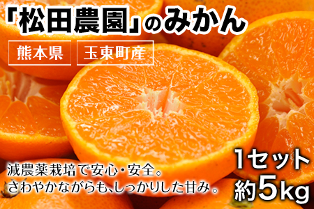 みかん 約5kg (S-2Lサイズ)《11月上旬-12月下旬頃出荷》【日付指定不可】 松田農園