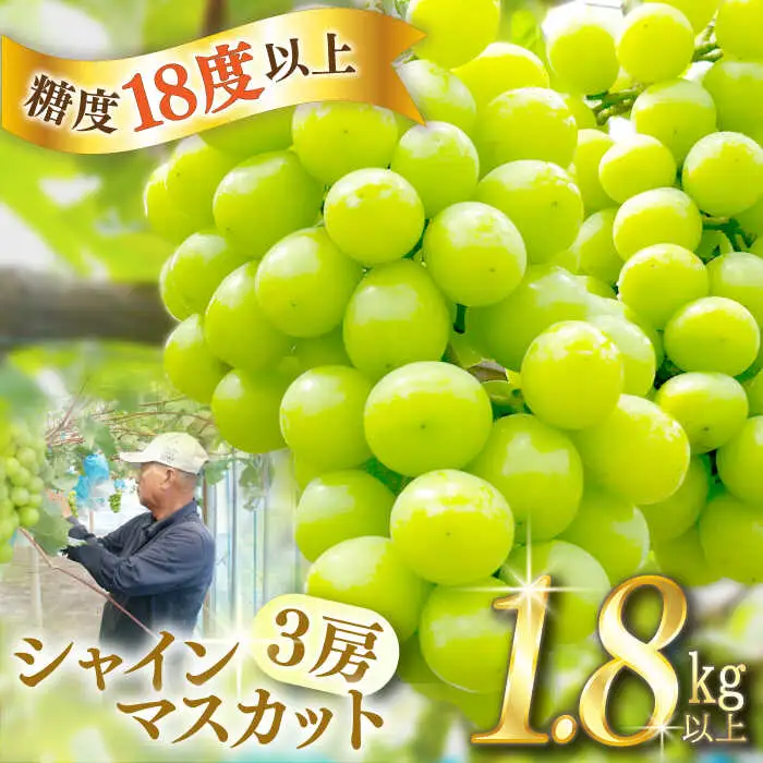 【2027年8月中旬-発送】【数量限定】【糖度18度以上】シャインマスカット 3房 1.8kg以上 / ぶどう ブドウ 葡萄 マスカット しゃいんますかっと フルーツ 果物 / 南島原市 / ミナサポ[SCW072]