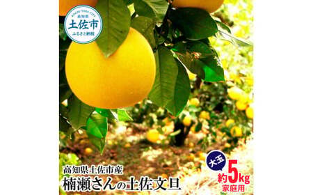 【先行予約】楠瀬さんの土佐文旦 家庭用大玉 約5kg 約5キロ 2L?4L〈2027年2月15日?2027年4月5日発送〉ぶんたん ブンタン フルーツ 柑橘 みかん 果物 くだもの 柑橘類 デザート おやつ さっぱり おいしい 甘い【まる庄果樹園】[BQAF011]