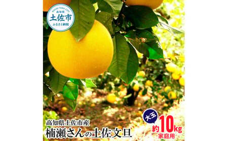 【先行予約】楠瀬さんの土佐文旦 家庭用大玉 約10kg 約10キロ 2L?4L〈2027年2月15日?2027年4月5日発送〉 ぶんたん ブンタン フルーツ 柑橘 みかん 果物 くだもの 柑橘類 デザート おやつ さっぱり おいしい【まる庄果樹園】[BQAF012]