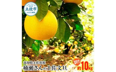 【先行予約】土佐文旦 10kg 訳あり 文旦[BQAF014]
