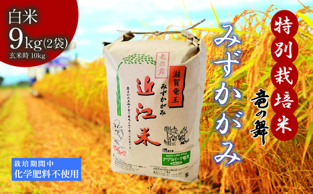 米 みずかがみ 白米 9kg （ 4.5kg × 2袋） 2025年産 竜の舞 化学肥料不使用 特別栽培米 玄米 時容量 5kg × 2袋 計 10kg 国産 安心 安全 近江米 米 お米 白米 お弁当 玄米 産地直送 滋賀県 竜王町 送料無料