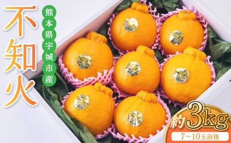 先行予約 不知火 約3kg 2027年2月中旬から4月中旬発送予定 しらぬい 蜜柑 熊本県産 九州産 国産 坂下園 デコポンの品種名が不知火 デコポンR デコポンはJA熊本果実連の登録商標 デコポン発祥の地
