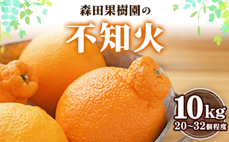 森田果樹園の不知火 10kg 20～32個程度　《2027年2月中旬-4月下旬頃出荷》