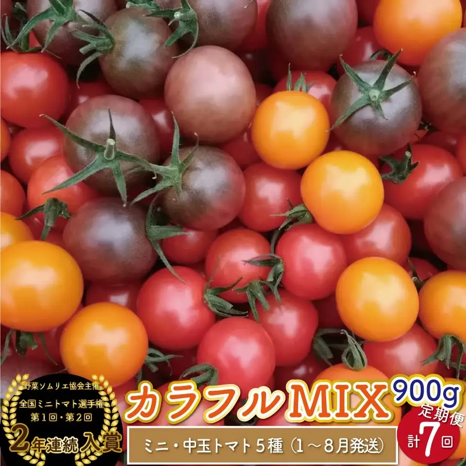 【2027年1月～8月頃発送】＜約900g×7回 定期便 ＞カラフルトマト アイメック トマト 5種 MIX フルティカ ＞ましまファーム ミニトマト フルーツトマト  ミックス 糖度訳あり